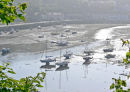FISHGUARD LOWER TOWN
